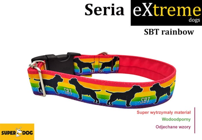 SBTrainbow.jpg