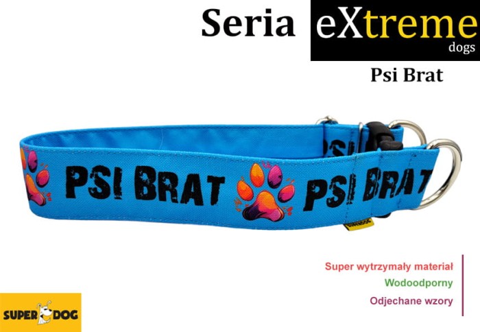 psi_brat_obroża_dla_psa.jpg
