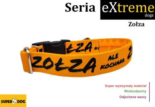 zołza_obroża_dla_psa.jpg