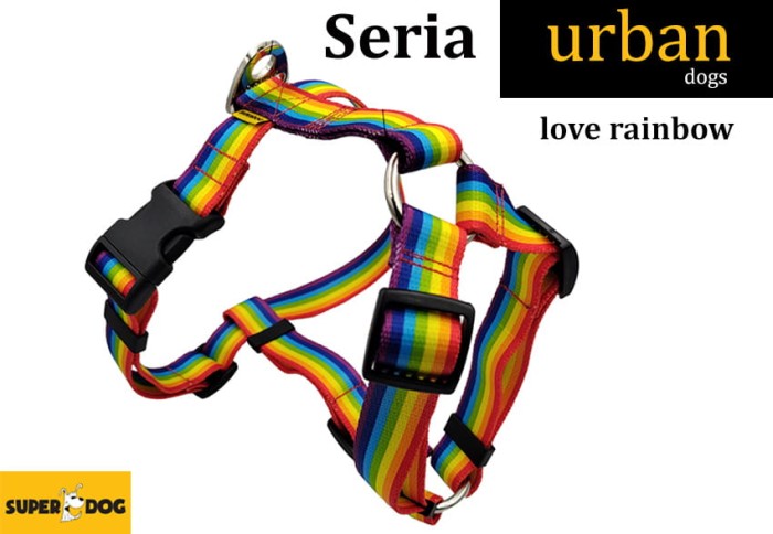 szelki_urban_dogs.jpg