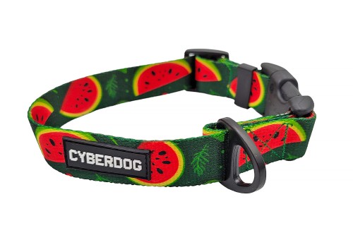 Obroza_dla_psa_cyberdog_arbuzy_zatrzask_classic.jpg