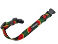 Obroza_dla_psa_cyberdog_arbuzy_zatrzask_classic_2.jpg