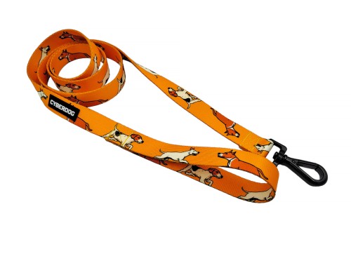 smycz_miejska_cyberdog_dogs.jpg