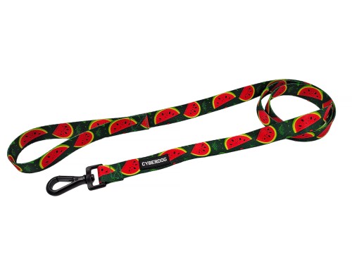 smycz_miejska_cyberdog_arbuzy.jpg