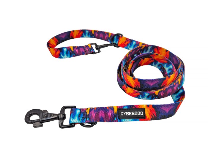 smycz_dla_psa_cyberdog_3w1_color.jpg