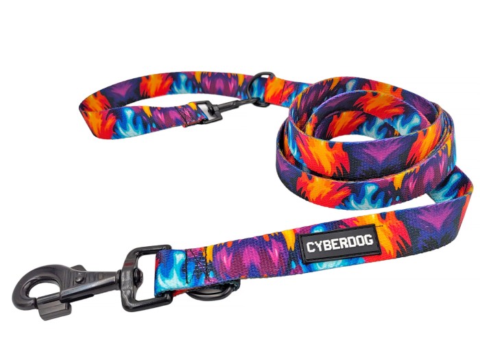 smycz_dla_psa_cyberdog_3w1_color_2.jpg