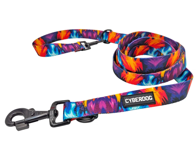 smycz_dla_psa_cyberdog_3w1_color_2.jpg