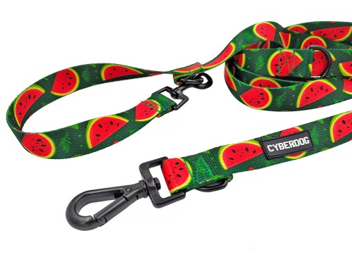 smycz_przepinana_cyberdog_arbuzy.jpg
