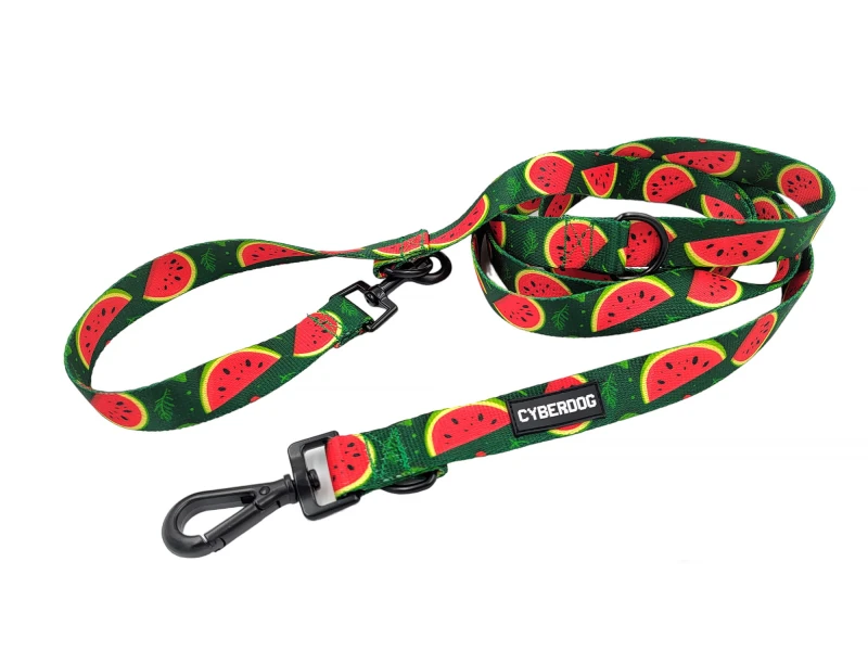 smycz_przepinana_cyberdog_arbuzy_2.jpg