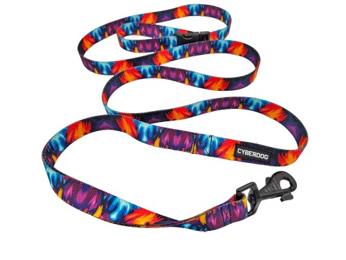 smycz_dla_psa_cyberdog_3w1_color_3.jpg