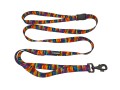 smycz_dla_psa_cyberdog_3w1_rainbow.jpg