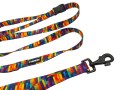 smycz_dla_psa_cyberdog_3w1_rainbow_2.jpg