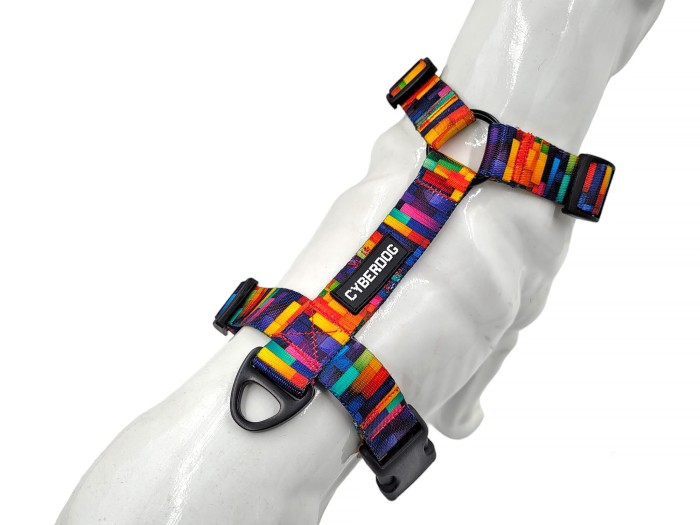 szelki_guard_rainbow.jpg