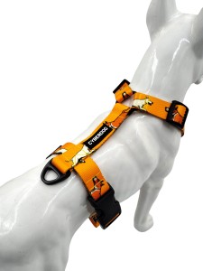 szelki_guard_dogs_3.jpg