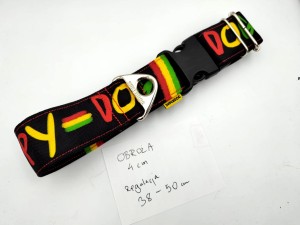 Obroża dla psa - 4cm, 40-50 klamra  Happy dog rasta