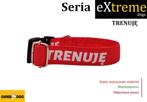obroża dla trenującego psa, czerwona z białym napisem, napis trenuję, dla dużych psów, dla małych psów, wodoodporna