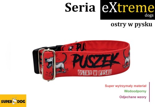 ostry_w_pysku_Obroza_dla_psa.jpg