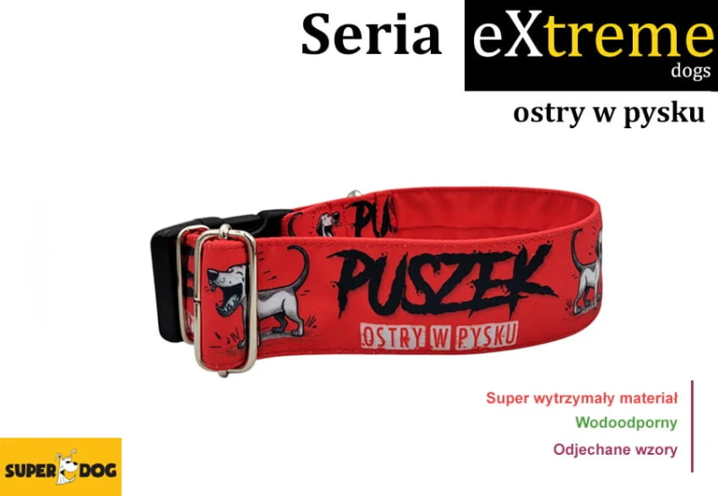ostry_w_pysku_Obroza_dla_psa.jpg