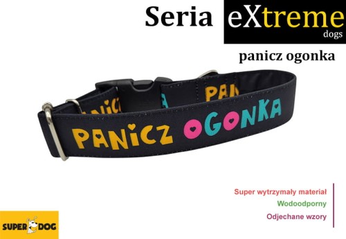 wodoodporna obroża dla psa, bardzo mocna, w różnych szerokościach, obroża dla dużego psa, obroża dla amstaffa,  wytrzymała obroża dla psa