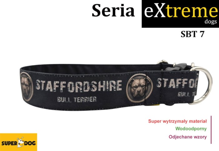 Personalizowana obroża dla staffika – mocna obroża dla psa ras silnych