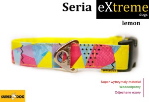 Obroża dla psa: lemon