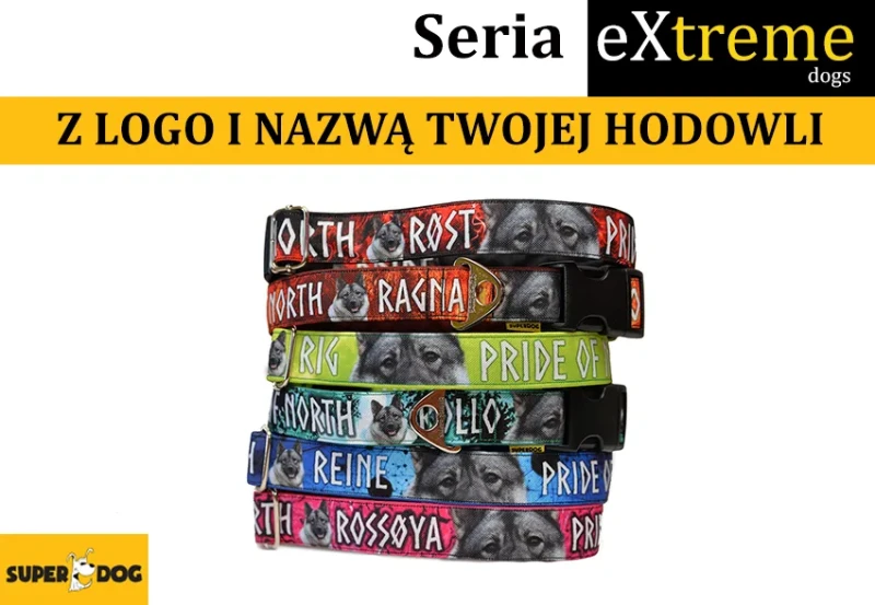 obroza-z-logo-hodowli-dla-psow.webp