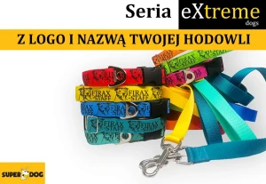 personalizowana-obroza-dla-szczeniat-hodowla.webp