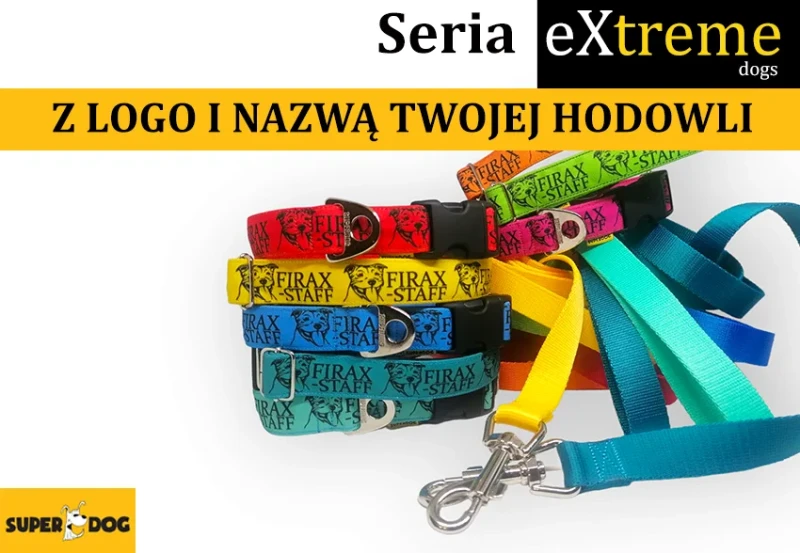 personalizowana-obroza-dla-szczeniat-hodowla.webp