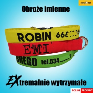 Trwała obroża imienna dla psa – widok z bliska