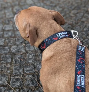 Wytrzymała obroża dla psa Czorny Charakter z kolekcji Extreme Dogs, szyta w Polsce na zamówienie.