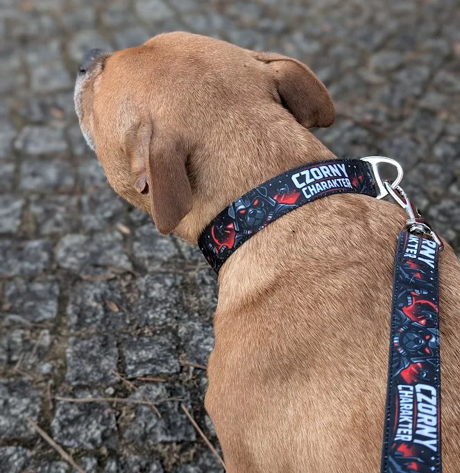 Wytrzymała obroża dla psa Czorny Charakter z kolekcji Extreme Dogs, szyta w Polsce na zamówienie.