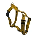 szelki-guard-dla-psa-built-for-dogs.webp
