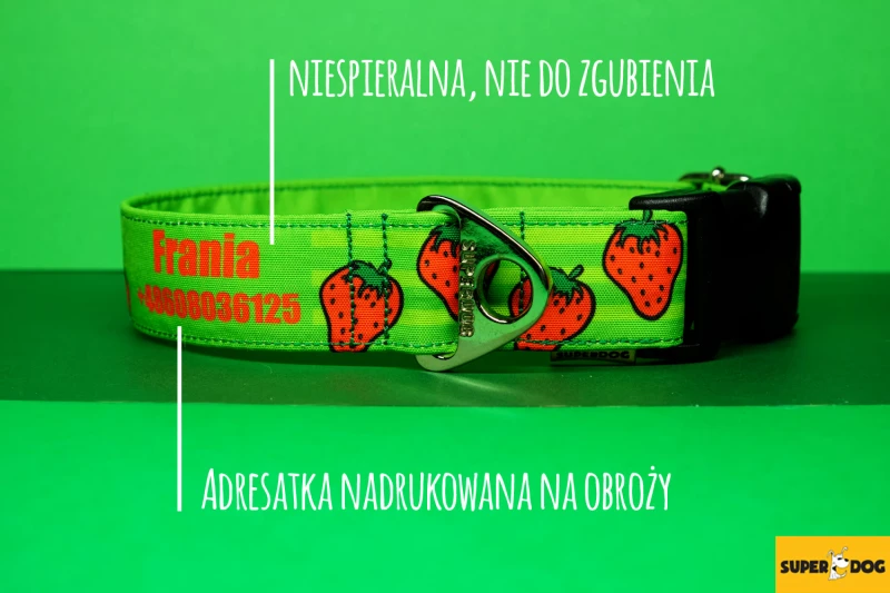 adresatka na obroży