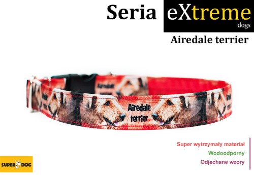 Airedale Terrier, collars, obroża Airedale Terrier