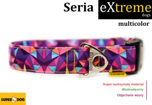 Obroża dla psa: Multicolor