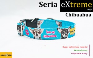 chihuahua XXS- 2,5cm