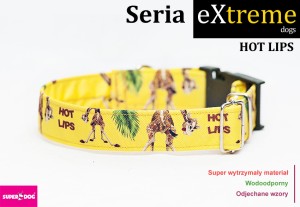 Obroża dla psa: Hot Lips