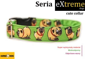 Obroża dla psa: Cute collar