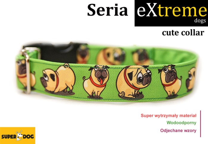 cutecollar.jpg