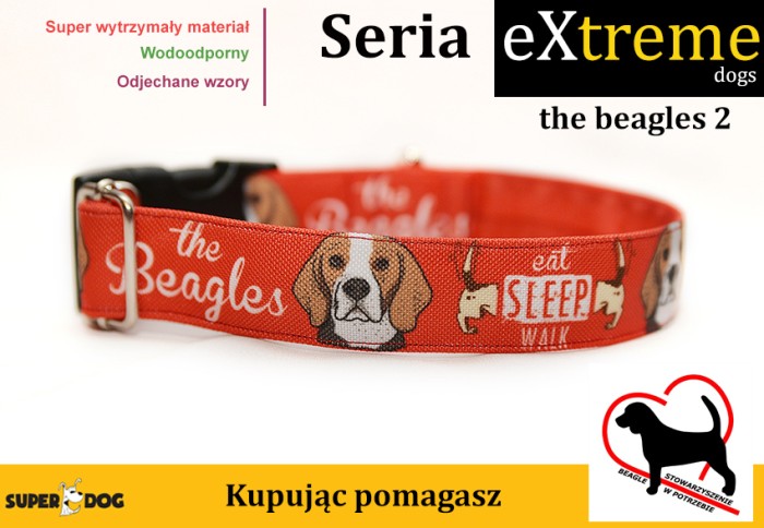 beagles2.jpg