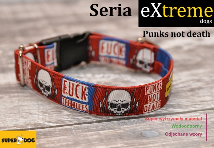 Punksnotdeath.jpg