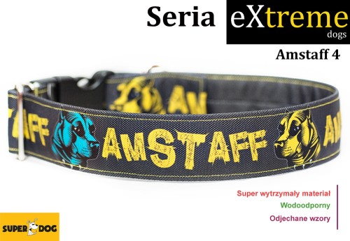 Obroża dla amstaffa z numerem telefonu – model Extreme