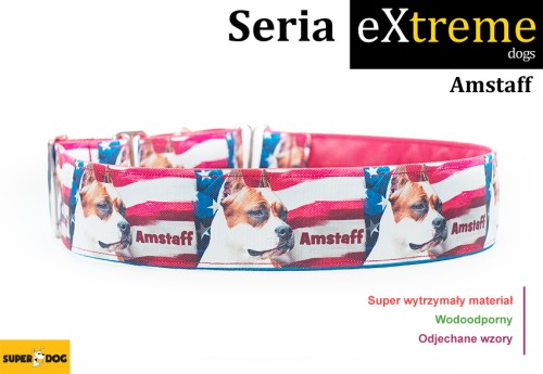 Stylowa i wytrzymała obroża dla amstaffa – Superdog