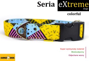 Obroża dla psa: Colorful
