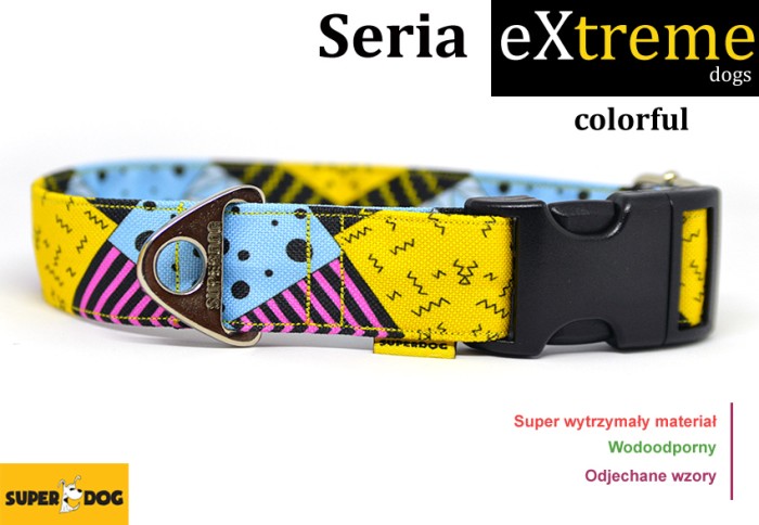 colorful.jpg