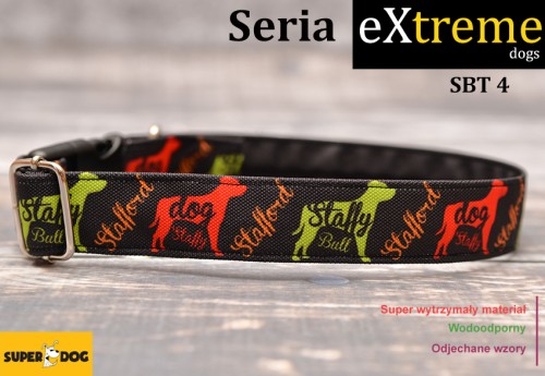 Wytrzymała obroża dla Staffordshire Bull Terriera