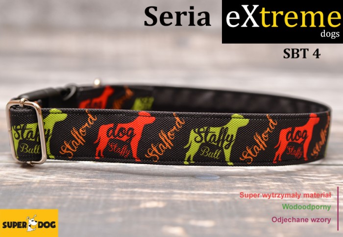 Wytrzymała obroża dla Staffordshire Bull Terriera