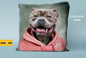 Poduszka Staffie-40x40cm 