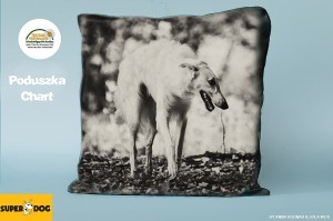 Poduszka Chart