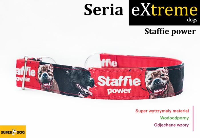 Obroża dla staffika robiona na zamówienie – możliwość personalizacji